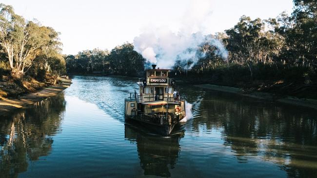 See Aussie wildlife from a paddle steamer on the Murray.