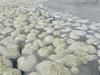 Coastal flood warnings as SA waits for wild winds to hit