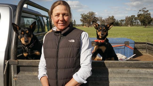 Jo Roper at Willera Poll Merino stud sale.