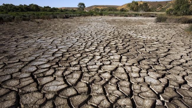 El Nino could cause a drought but it could cause forests to become tinder dry and perfect for a bushfire.