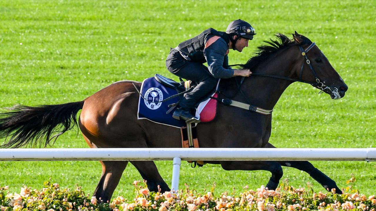 Johnny Get Angry is primed to run on Tuesday. (Brett Holburt/Racing Photos via Getty Images)