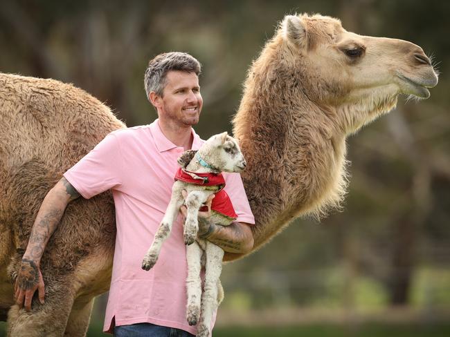 Matthew Glascott from Matty’s sanctuary with Ba Ba the lamb and Alice the camel on the farm. Picture: David Caird