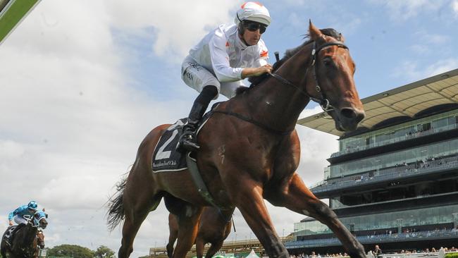 Farnan will start from barrier 14 in the Golden Slipper. Picture: AAP Image/Simon Bullard