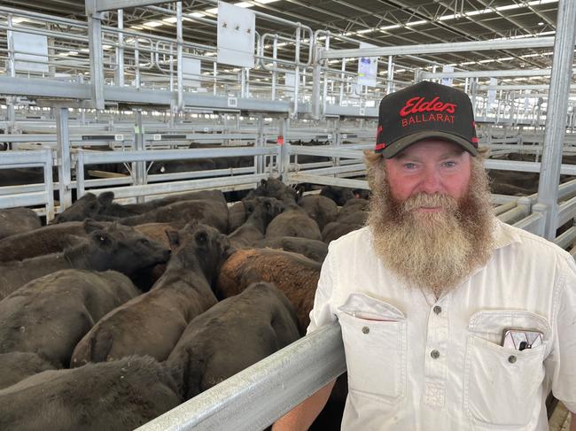 Glenn Pretty sold a line of 88 of his renowned Wolgan Angus weaner steers to a top of $1730 or 451c/kg at the Ballarat grown and weaner steer sale. Picture: Petra Oates