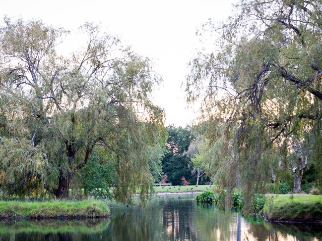 The gorgeous lake is a hit for families who visit for picnics.