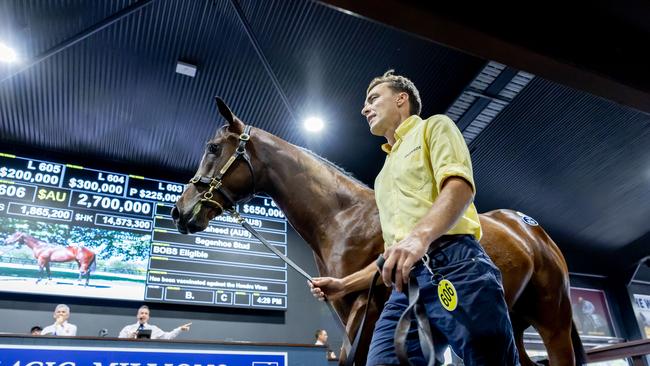 Lot 606 went for a record breaking $2.7m at the Magic Millions sales on Thursday. Picture by Luke Marsden.