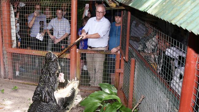 Prime Minister Scott Morrison feeds chicken to Cassius, the largest saltwater crocodile in captivity at 5 metres long. Cassius is the star attraction at Marineland Crocodile Park on Green Island, off the coast of Cairns. Picture: Brendan Radke