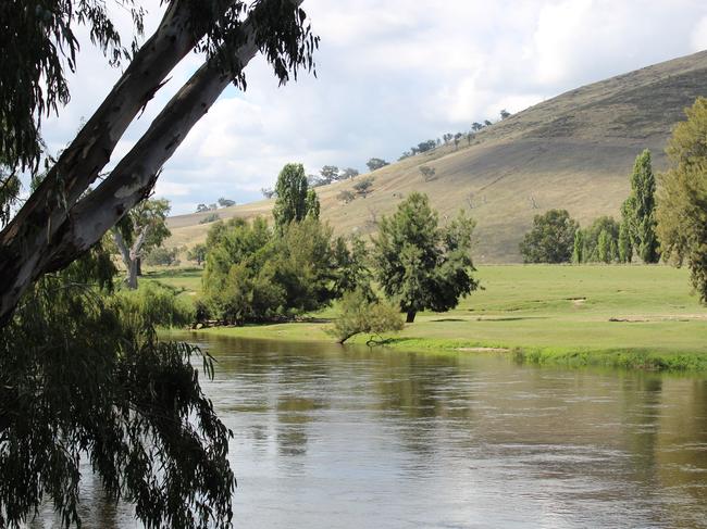 Murrumbidgee River. Photo: NRAR