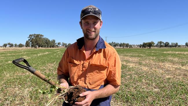 Dan Fox of Gladlea at Marrar in southern NSW is pictured in a crop of buckwheat. The buckwheat will be harvested at the end of April. Picture: Nikki Reynolds