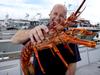 Trade triumph: China set to take our Aussie rock lobsters back