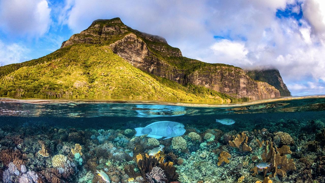 Stunning marine and coral life in the lagoon below Mount Lidgbird and Mount Gower on Lord Howe Island.