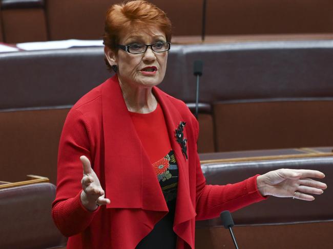 CANBERRA, AUSTRALIA - NewsWire Photos September 27, 2022: Senator Pauline Hanson during Question Time at Parliament House in Canberra. Picture: NCA NewsWire / Martin Ollman