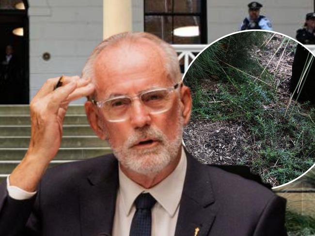 A crop of illegal drugs sprang up at NSW parliament last week, metres away from unsuspecting NSW Police special constables. The Daily Telegraph can reveal psychedelic “magic” mushrooms started growing outside the main entrance to Australia’s oldest parliament after a period of heavy rain, right under the noses of state politicians, bureaucrats, and law enforcement.