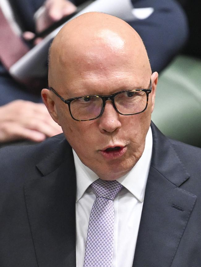 Opposition Leader Peter Dutton. Picture: NewsWire/Martin Ollman