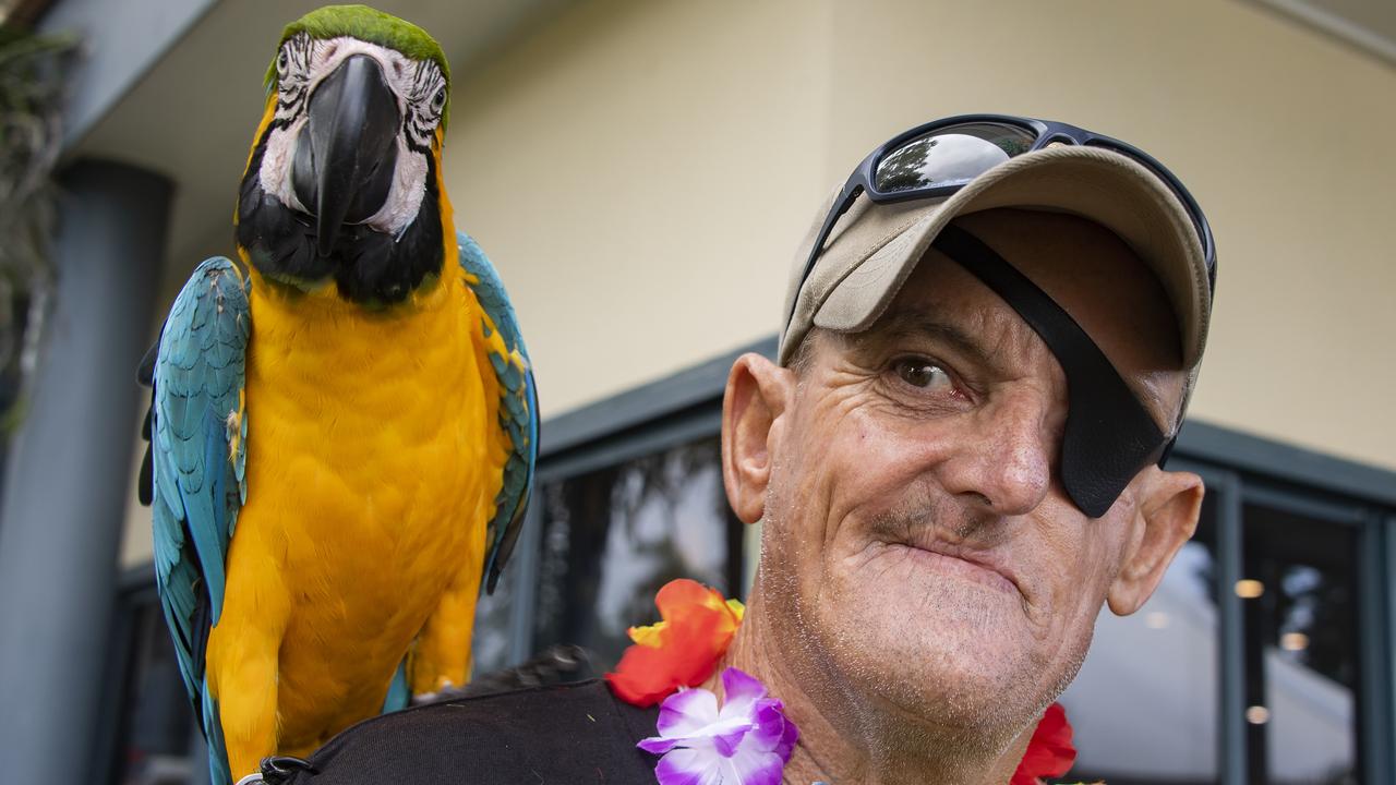 Parrot Head Concert, CCYS - 'Captain' the Macaw with pirate Mark Sailability. Picutere: Brian Cassey