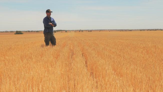 Grant Pontifex of Pontifex Farming, a 6800ha cropping operation split between Paskeville on the Yorke Peninsula and Kingscote on Kangaroo Island. Pictured on his farm at Paskeville, November 2019. Picture: JAMES WAGSTAFF