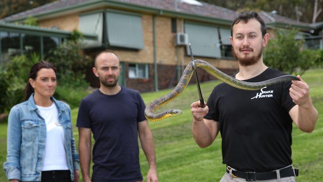 Mark Pelley catches a tiger snake from Liz Sadowy and Nathan Brett’s property in Plenty. Picture: Ian Currie