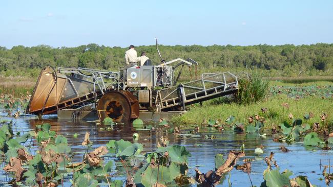 Friends of Fogg Dam have secured a new weed harvester that will be used to clear the waterway