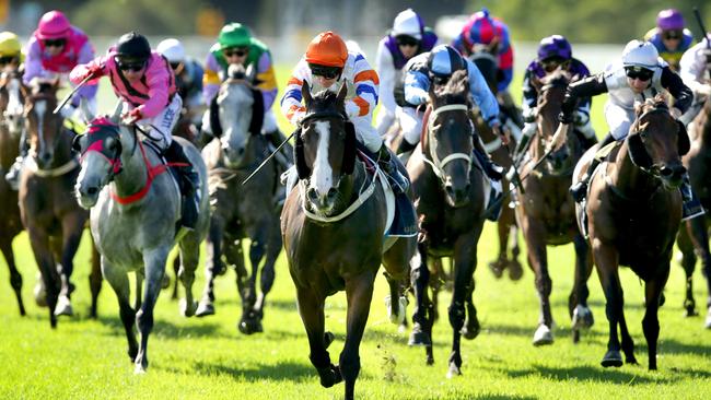 Racing in New South Wales on Thursday is at Hawkesbury.