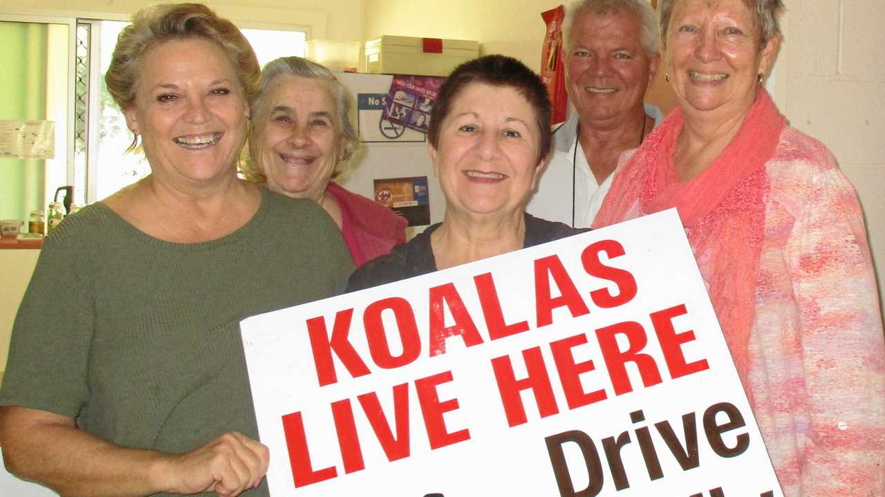 Koala Action Groups Annie Longmore, Marilyn Dumpleton, Jackie Evans, Layne Longmore and Kath OConnell with the koala sign members will copy to produce sufficient signage for the Widgee area.