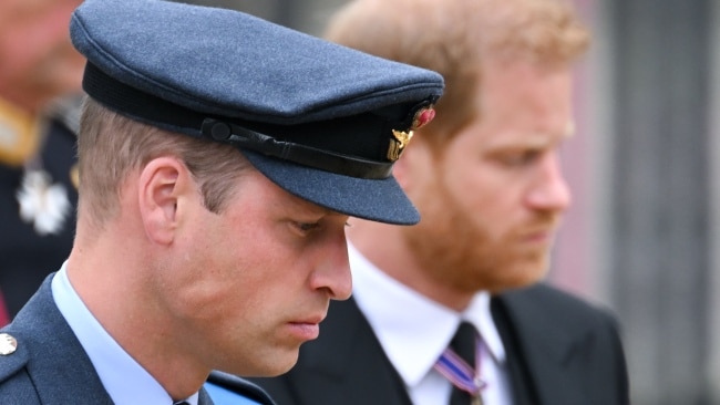 Mr Fitzwilliams also added it was unlikely Harry would repair his fractured relationship with Prince William at the coronation because his visit would be "fleeting". Picture: Getty Images