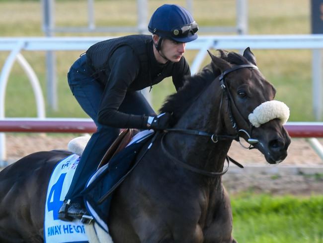 Away He Goes during trackwork at Werribee Racecourse on October 22, 2021 in Werribee, Australia. (Brett Holburt/Racing Photos via Getty Images)