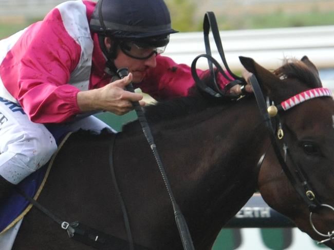 Ascot Races 11.4.2015 race 7 No. 9 Delicacy ridden by William Pike wins the W.A. Derby.