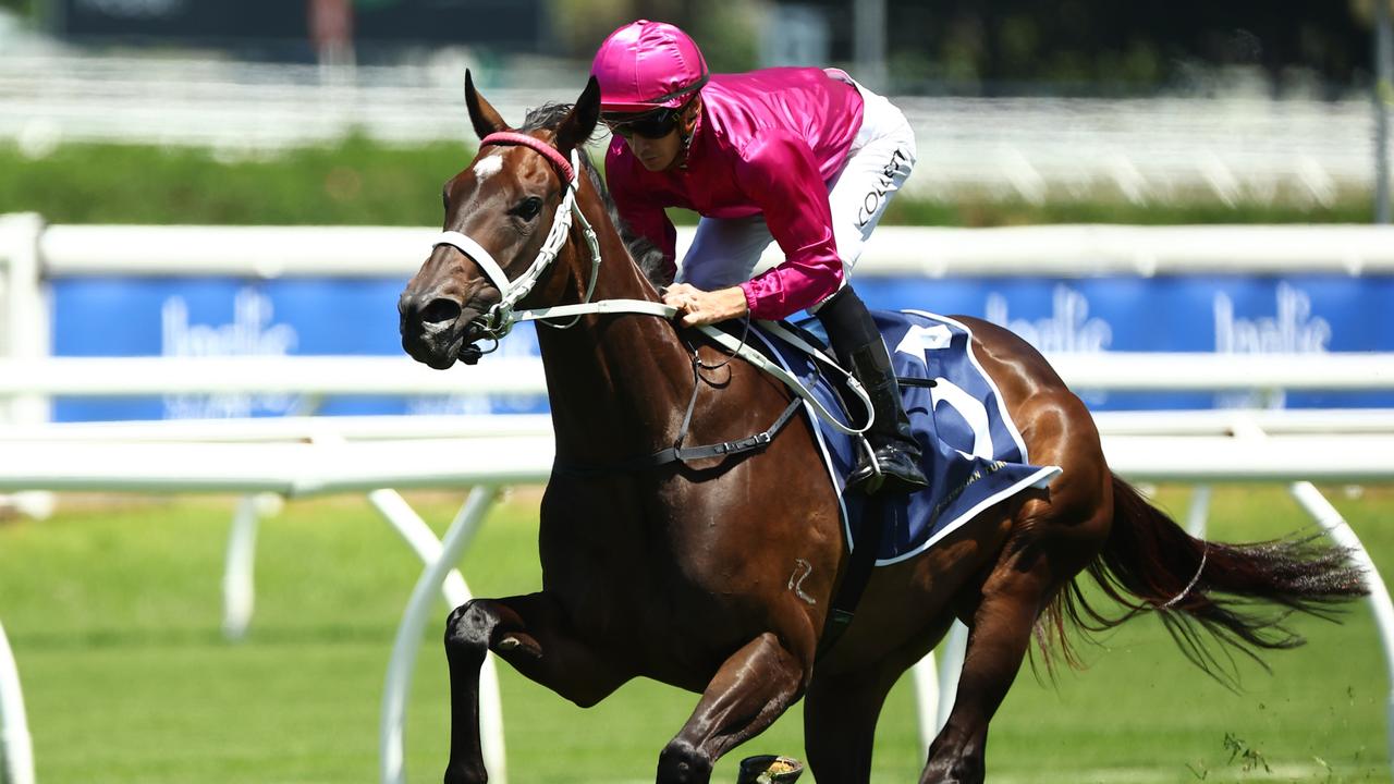 Star galloper Fangirl resumes in the Apollo Stakes at Randwick on Saturday. Photo: Jeremy Ng/Getty Images.