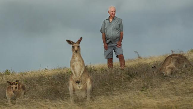 Steven Tucker with roos at Emerald Beach. north of Coffs Harbour, on the NSW mid-north coast. Picture: Vanessa Hunter