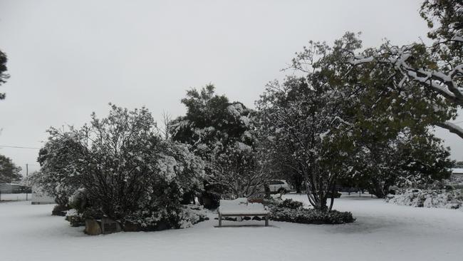 Wallangarra State School in Queensland’s Southern Downs Region surrounded by snow in 2015. Picture: Supplied