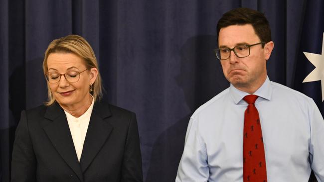 Sussan Ley and Nationals leader David Littleproud hold a press conference at Parliament House in Canberra. Picture: Martin Ollman/NewsWire