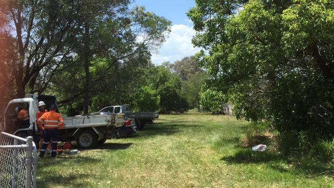 Work crews with chainsaws are photographed at the heavily vegetated area next to the Kate St side of the former Goodman Fielder Bakery site at Carina on November 30. Picture: Brian Bennion