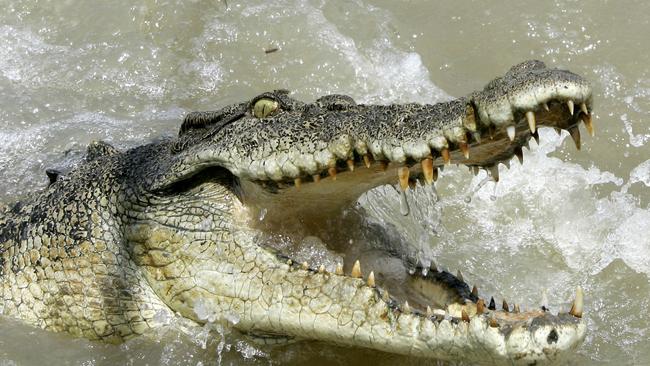 The Gunlom lower plunge pool at Kakadu has been temporarily closed due to a reported crocodile sighting.