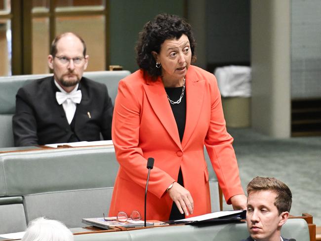 Independent MP Monique Ryan at Parliament House in Canberra. Picture: Martin Ollman