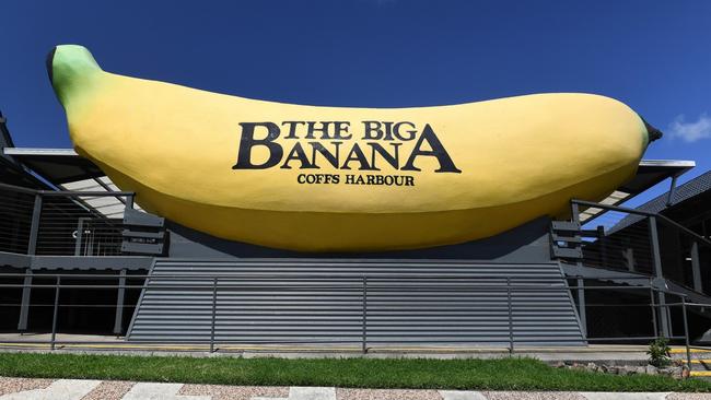 The Big Banana in Coffs Harbour — the second "Big Thing". Picture: Dave Hunt/AAP