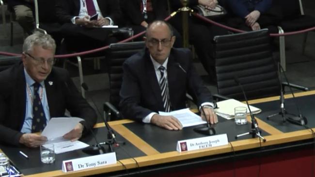 Northern Beaches Hospital inquiry heard from Dr Tony Sara and Dr Anthony Joseph.