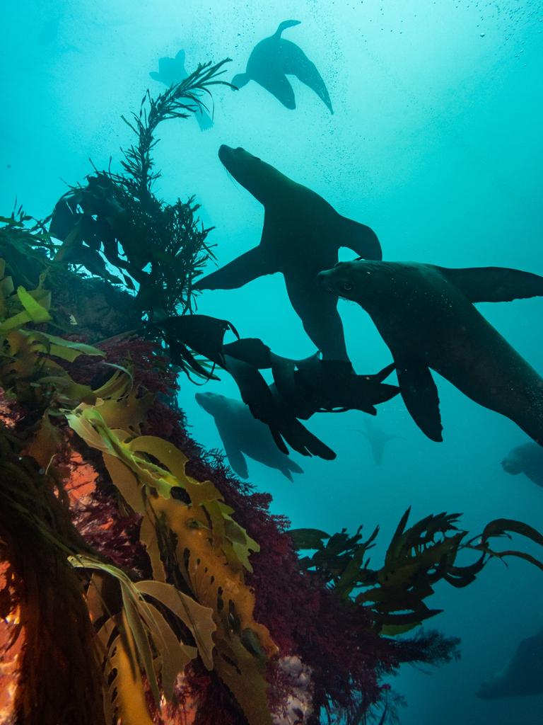 Pedra Branca: Danny Lee recounts spectacular dive into huge cavern