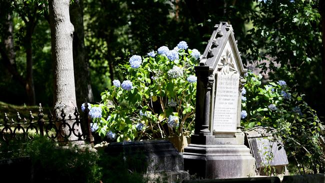 Lisarow Cemetery will be monitored during the widening of the Pacific Highway. (AAP Image/Sue Graham)