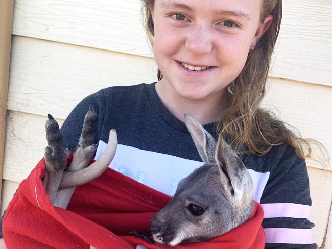 Pride of Australia nomination Molly Molloy who is saving orphan joeys around Broken Hill. "Molly has shown great compassion and understanding of the effects of drought on the native animals around Broken Hill. Molly went above and beyond the ideals of Scouting by providing support to RRANA in the form of Joey Bags that help rehabilitate orphaned Kangaroo Joeys. Many hours were spent cutting and sewing, in the making of the Joey Bags. Molly proudly presented the bags to RRANA when their representatives visited the Cub Pack. Molly is an asset to Broken Hill and will continue to work towards positive change in her community."