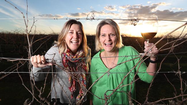 Sisters Rebecca and Lucy Willson at the family’s Langhorne Creek winery. Picture: Tait Schmaal