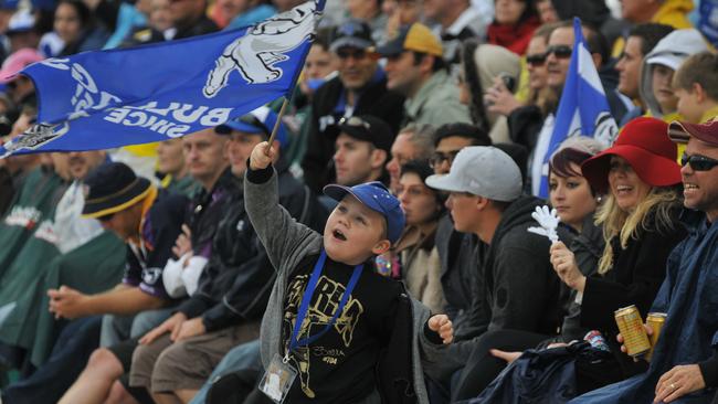 Mason Reid of Mackay fly's the flag for the Bulldogs complete with his Ben Barba T-shirt at the Bulldogs-Storm game in Mackay. Photo Lee Constable / Daily Mercury