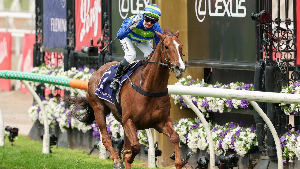 THIRD TIME LUCKY?: Can Another Wil finally crack it for Group 1 success at Caulfield on Saturday. Photo: Morgan Hancock/Getty Images.