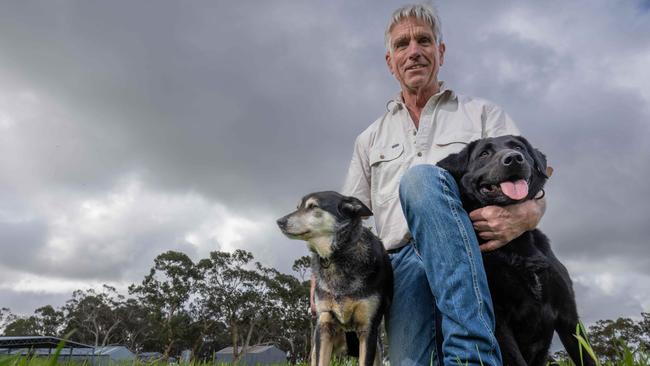 Patrick Ross with his dogs Doug and Stella. Picture: Ben Clark