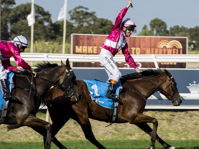 Perth Cup 2016 : Jockey Peter Hall steers Delicacy to the G1X.com.au - Perth Cup win, ahead of favourite Neverland (ridden by William Pike)