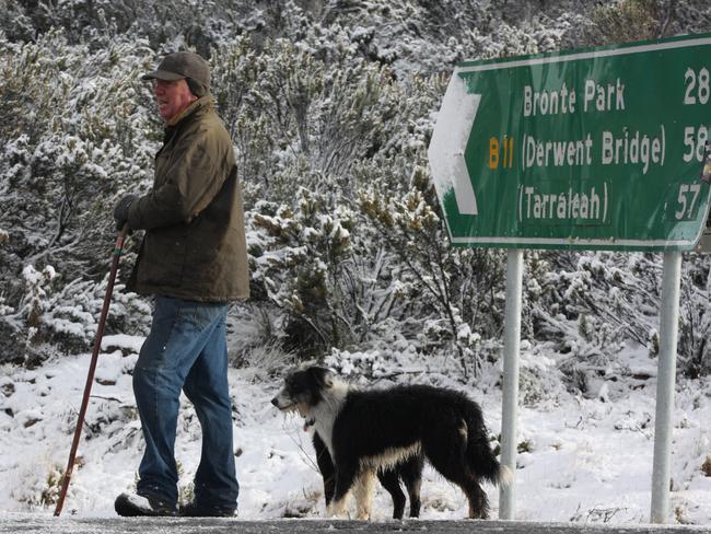 Michael Grant and his dogs brave the elements. Picture: KAROLIN MACGREGOR 