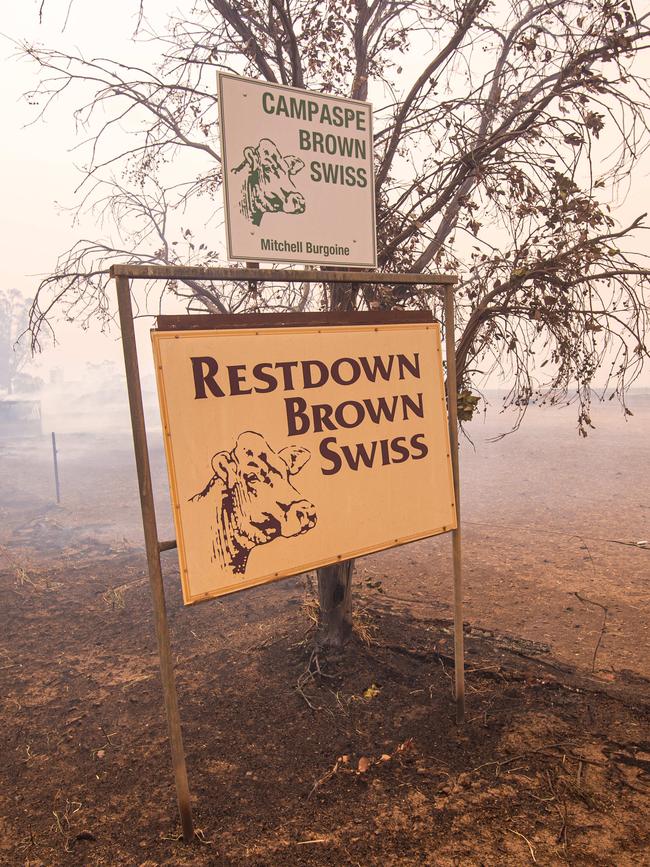 A cattle farm was in the path of the fire. Picture: Jason Edwards