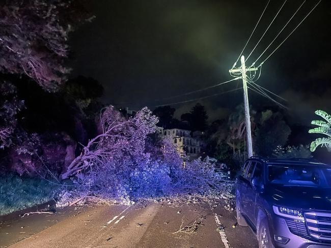 A tree has taken down powerlines in Clontarf, with residents urged to keep away. Pictrure: Facebook