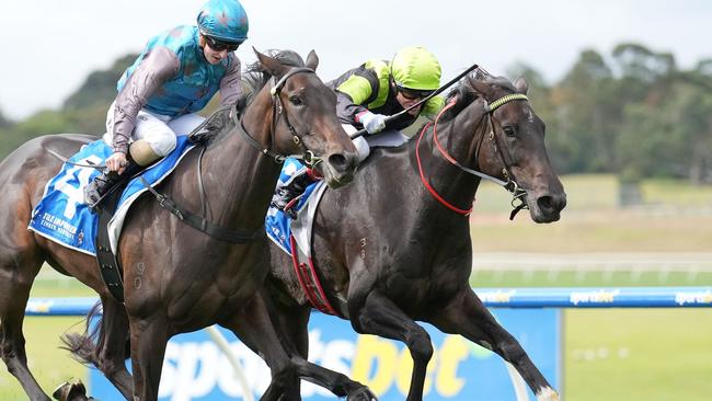 Way Up High (right), ridden by Craig Williams, was the last winner for fallen jockey Dean Holland. Picture: Scott Barbour/Racing Photos via Getty Images