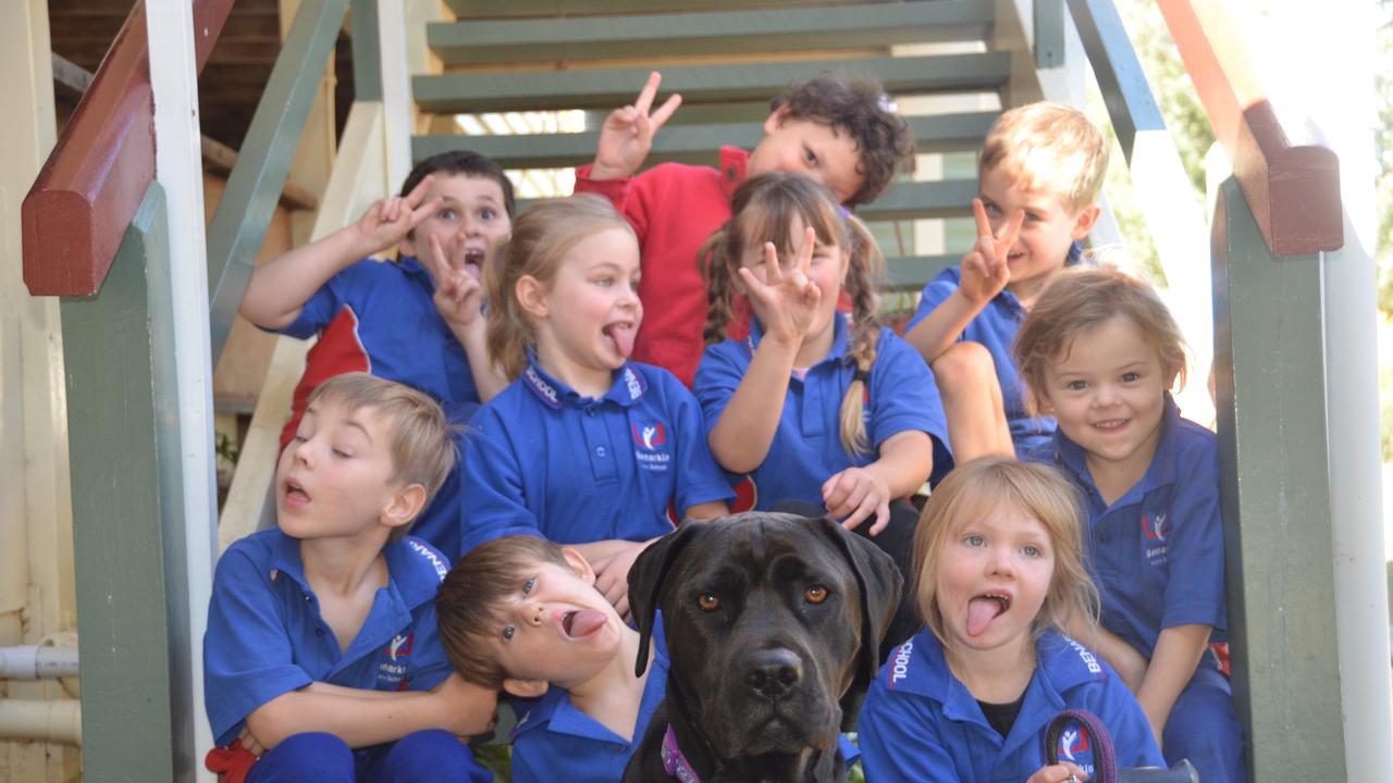 When I grow up: Benarkin St School | The Courier Mail