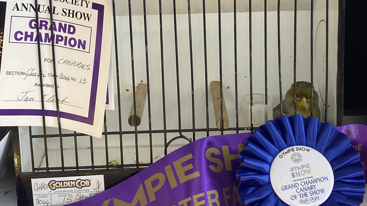 GRAND CHAMPION AND CANARY OF SHOW: Canary, owned by Jan Flash.